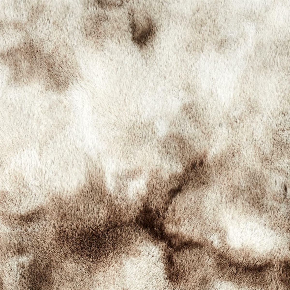 Inte00045_TX9172_VISU03.jpg