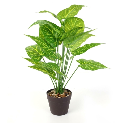 Sztuczna roślina 55 cm, Alocasia