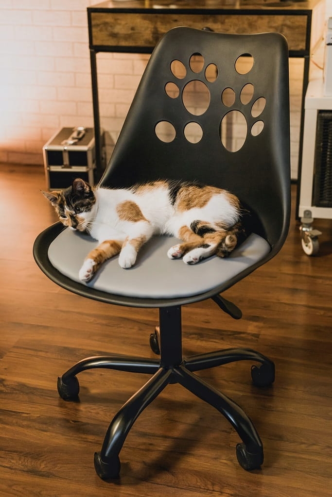 Krzesło obrotowe JOY - czarno-szare