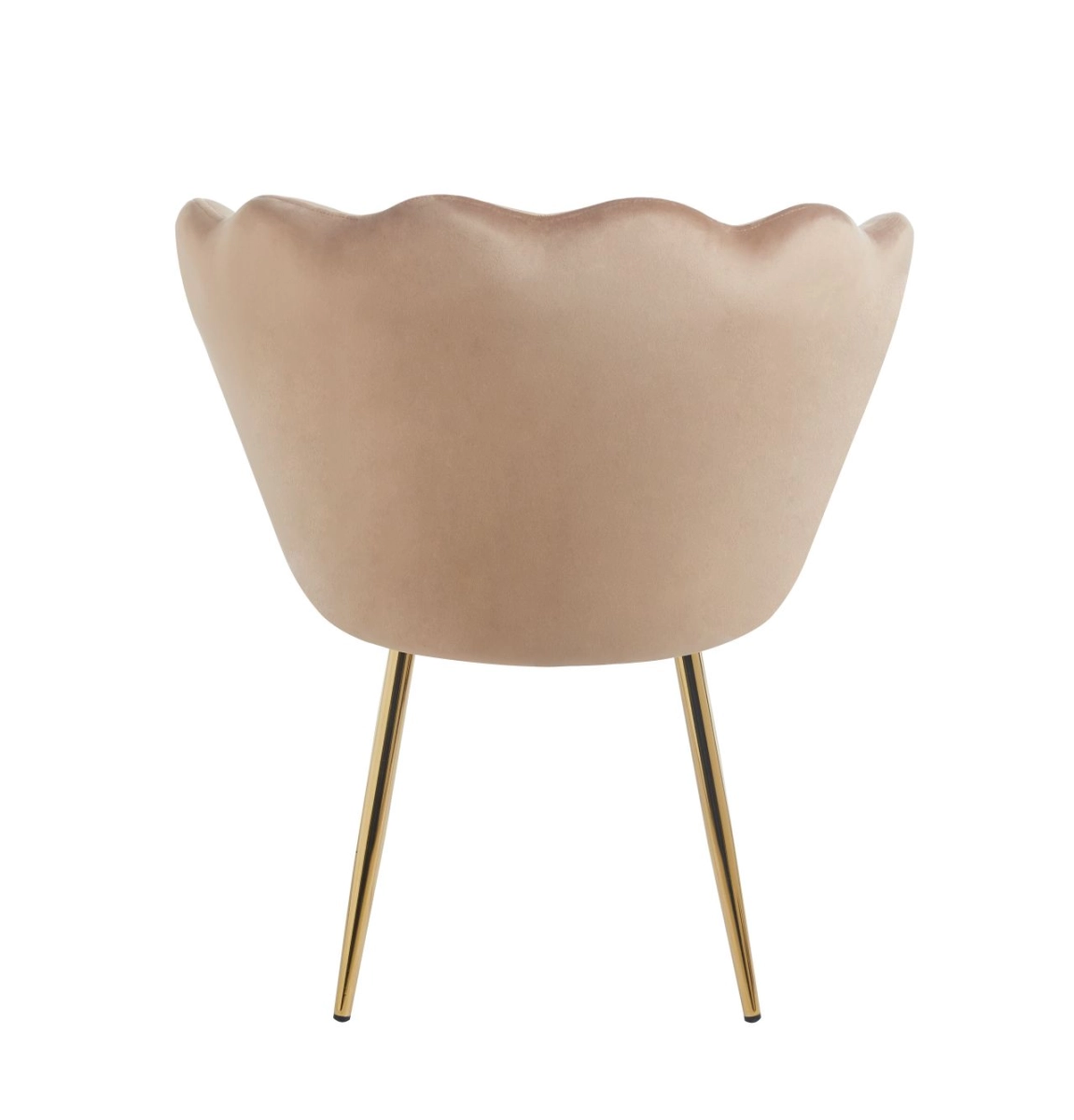 Fotel velvet (cappuccino) /nogi złote/