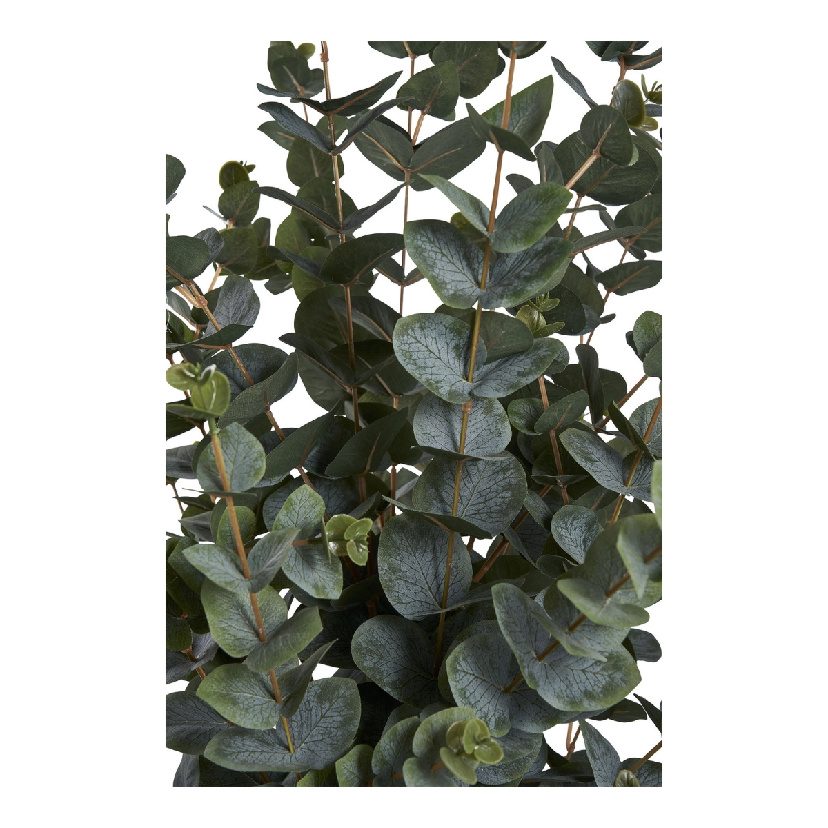Sztuczne drzewko Eukaliptus 120cm
