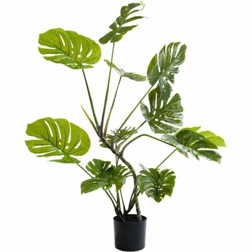 Roślina dekoracyjna 110 cm, Monstera Kare