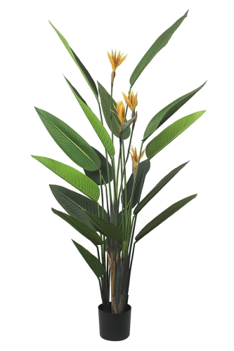 Roślina dekoracyjna 190 cm, Paradise Flowers Kare