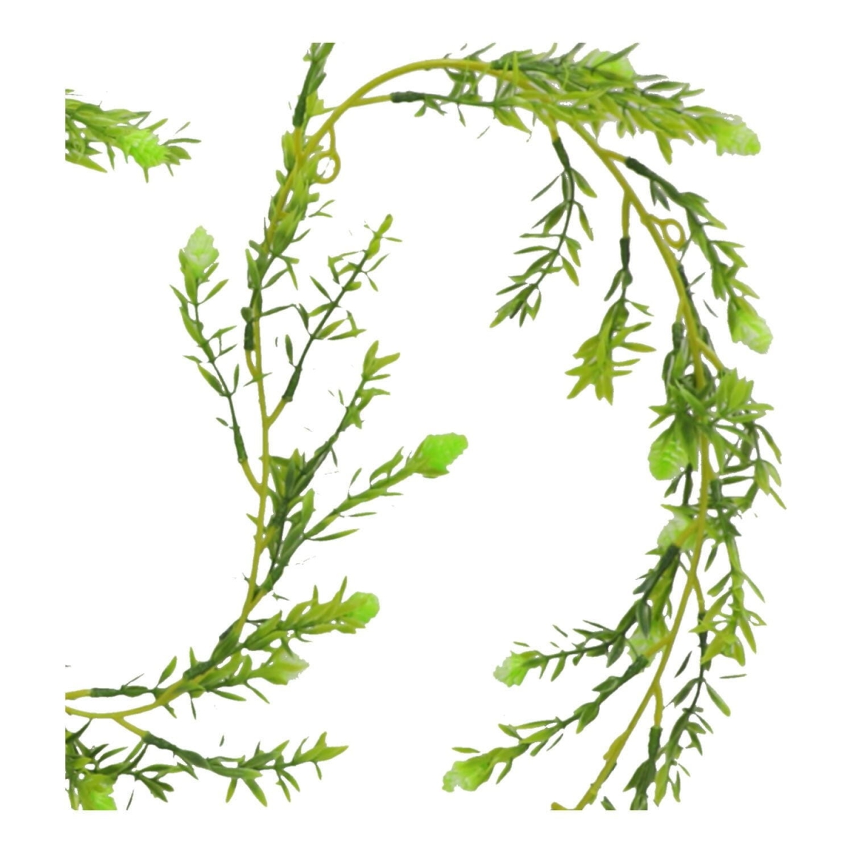 97134014279c50d38bf3532a36143715