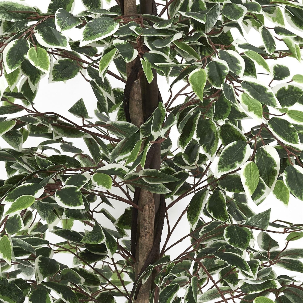 c9b23a31938a7150aa0e3a4b64de26c6