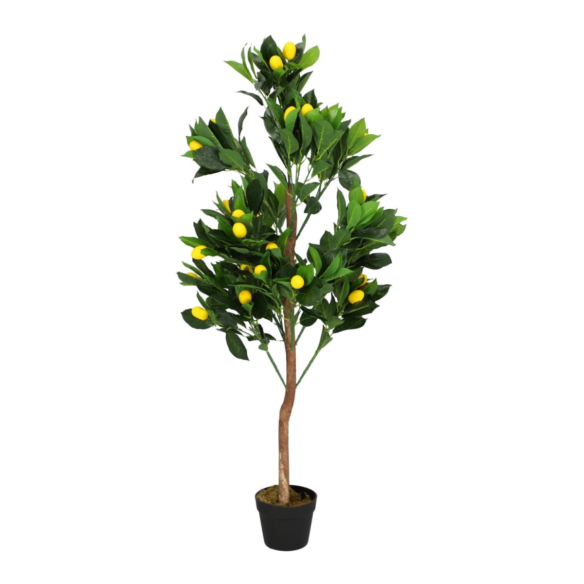 535095405a16030527328068ee9fcff3